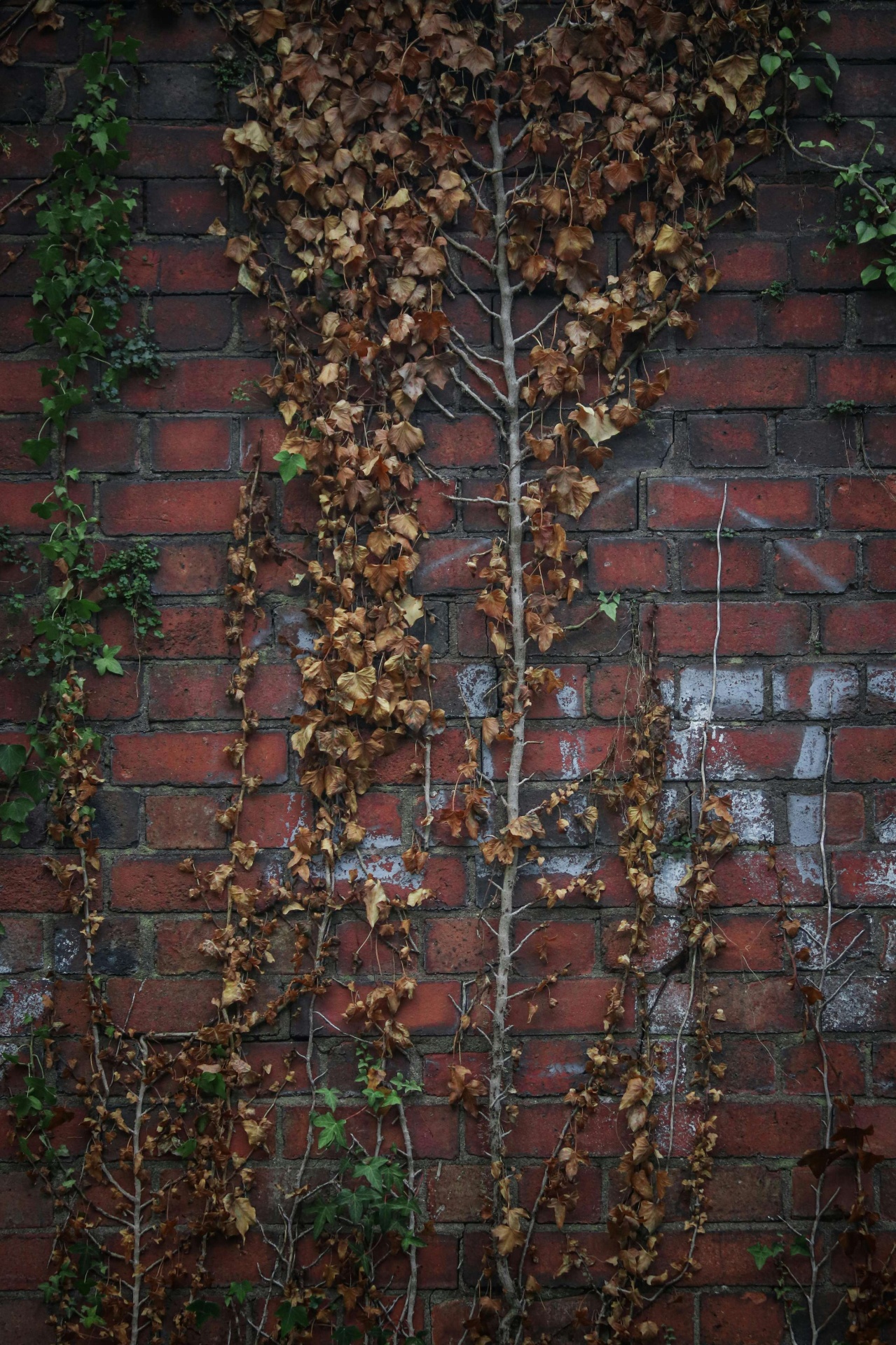Structural Surveys work in Patchway